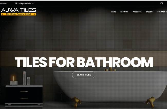 website development